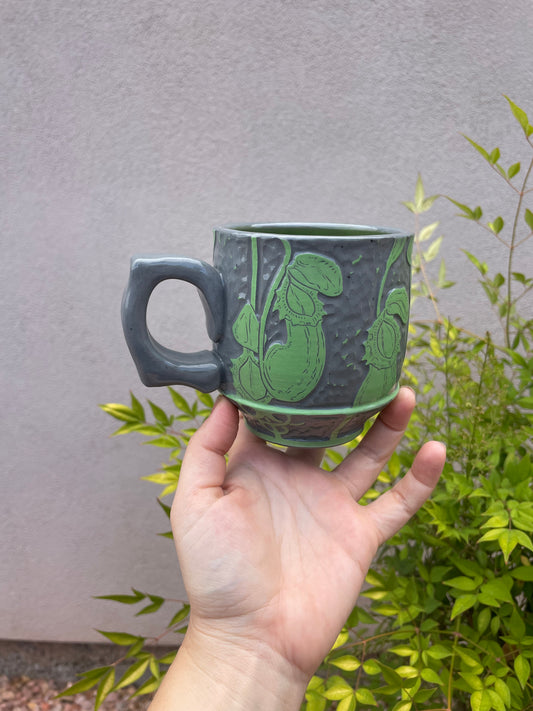 Pitcher Plant