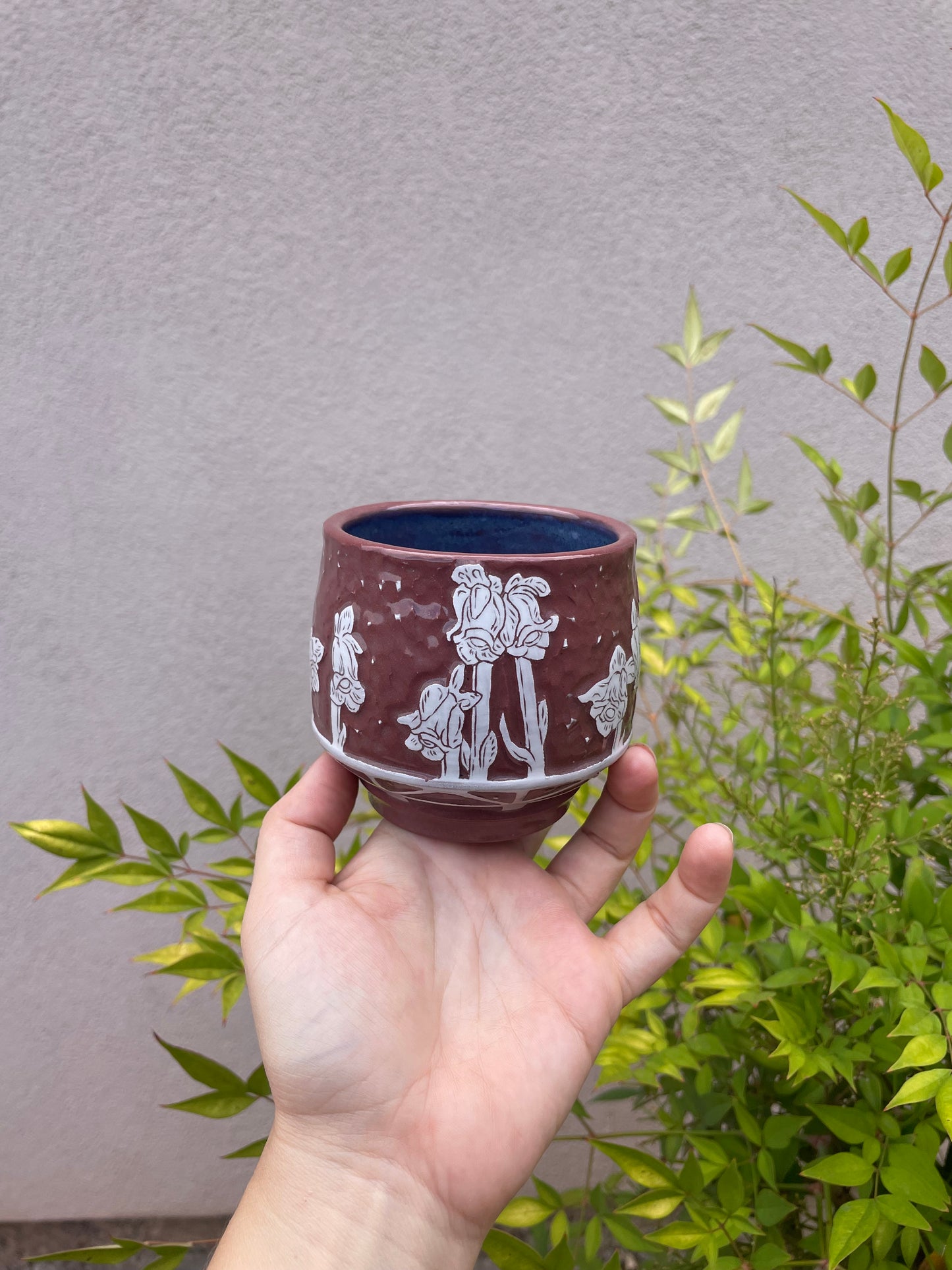 Ghost Pipe