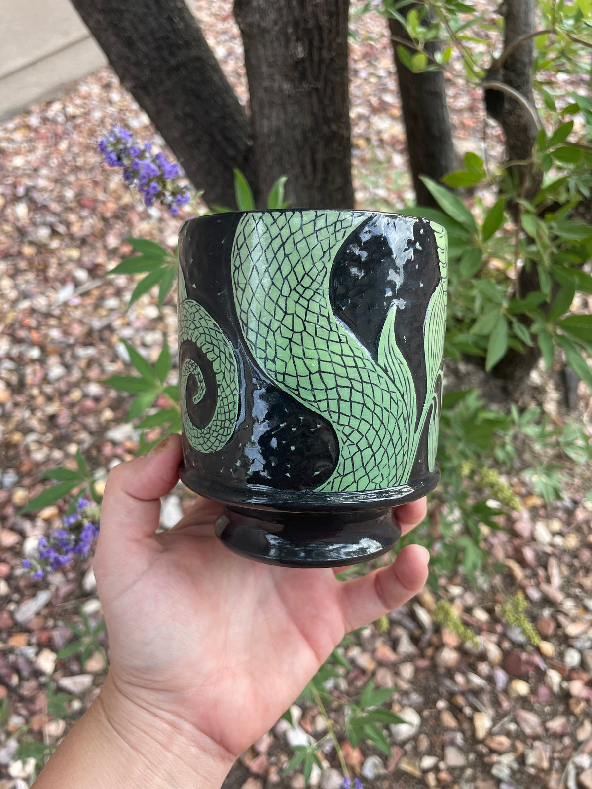 DISPLAY ONLY- Solomon Snake