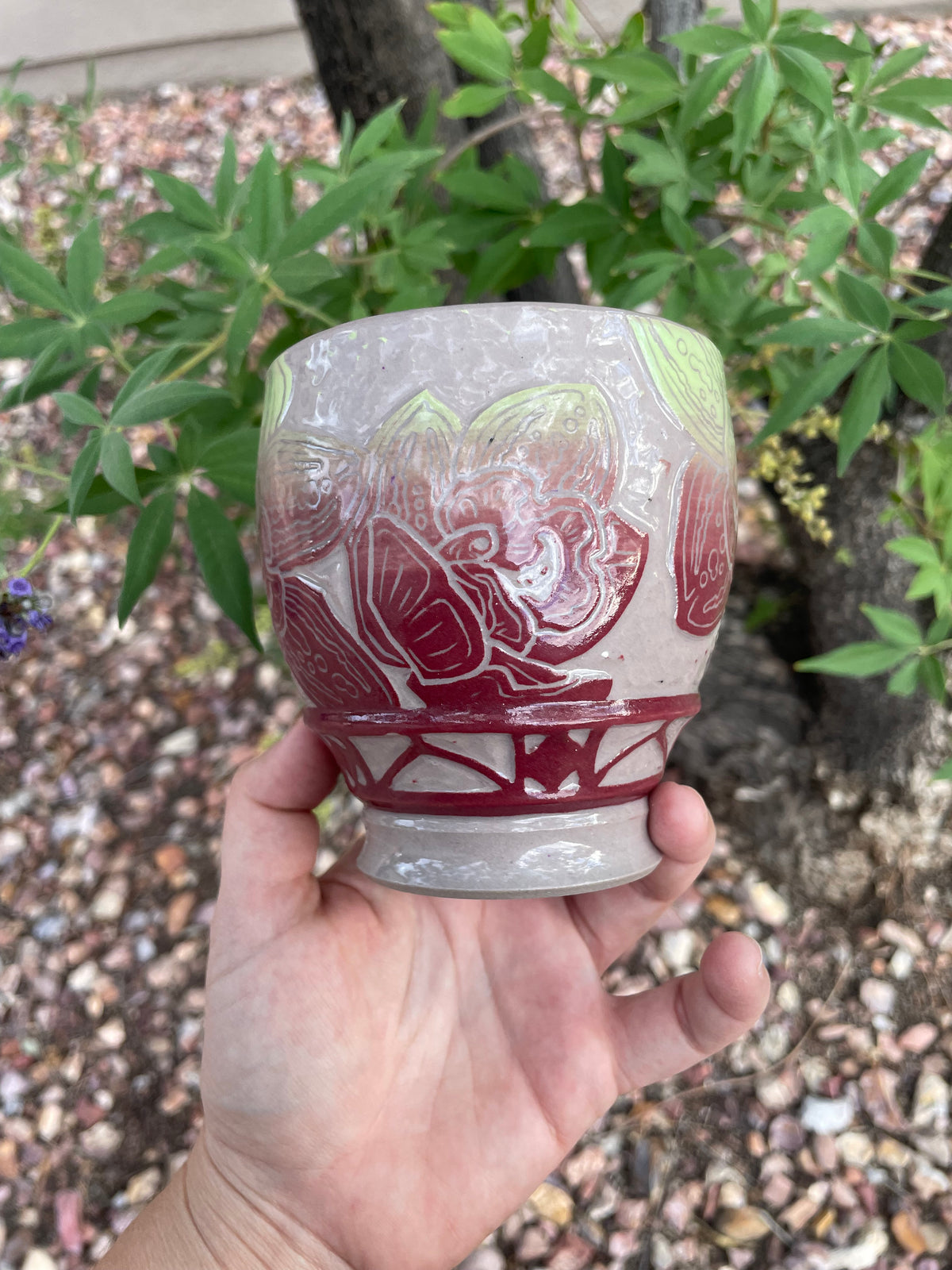 Cherry Lime Orchid