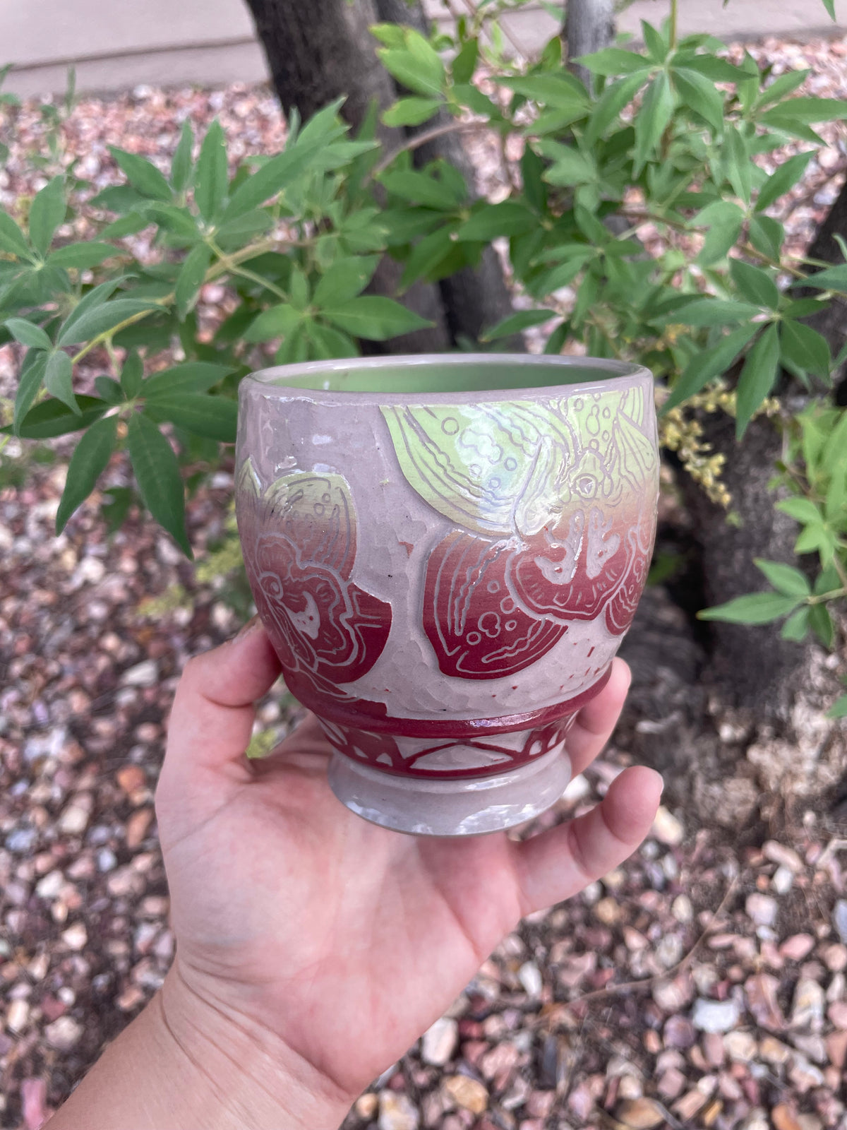 Cherry Lime Orchid