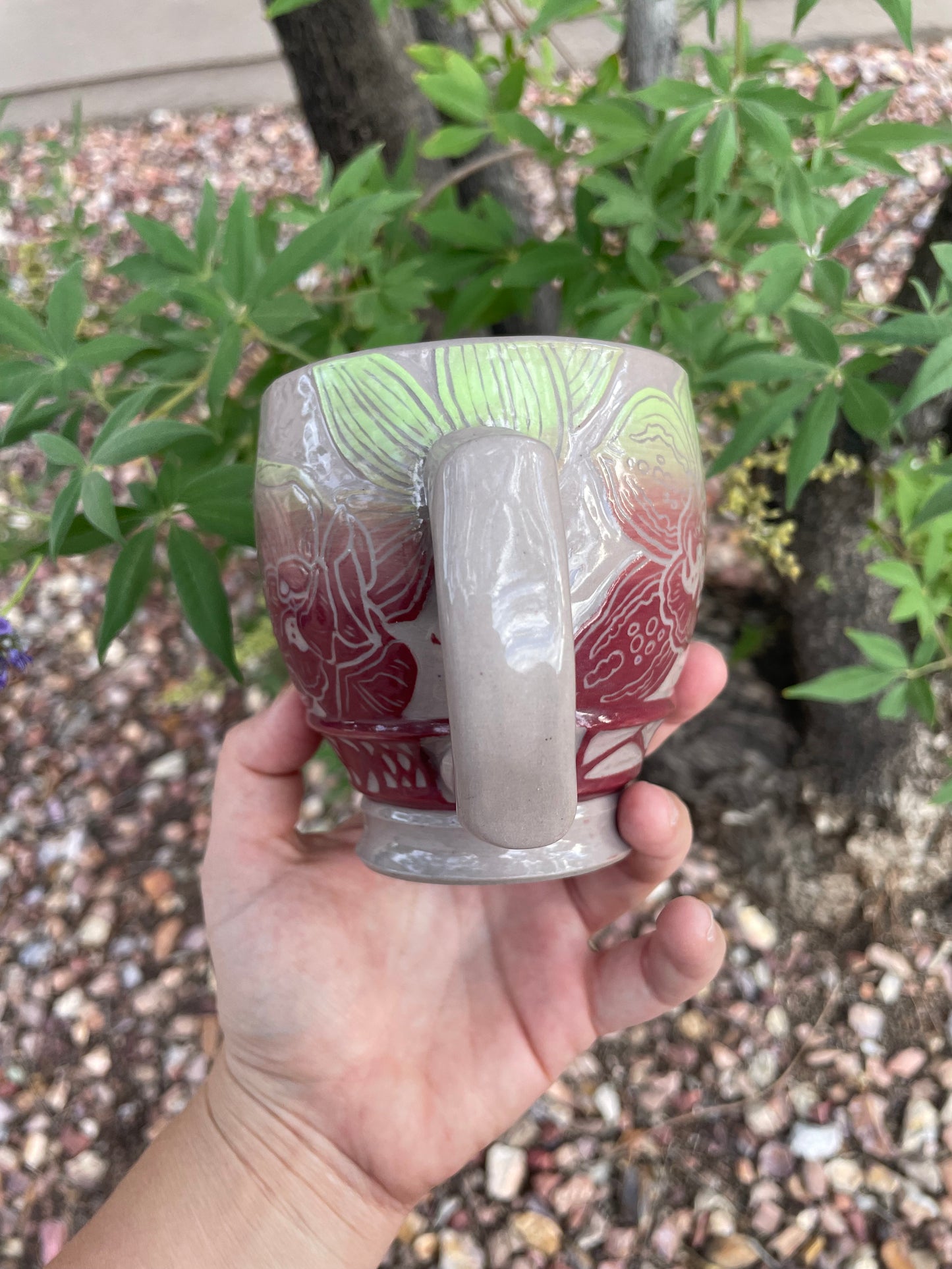 Cherry Lime Orchid